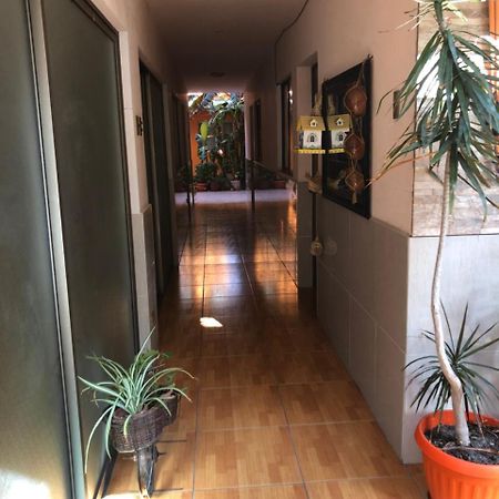 Casa Alejandra Apartment Antofagasta Bagian luar foto